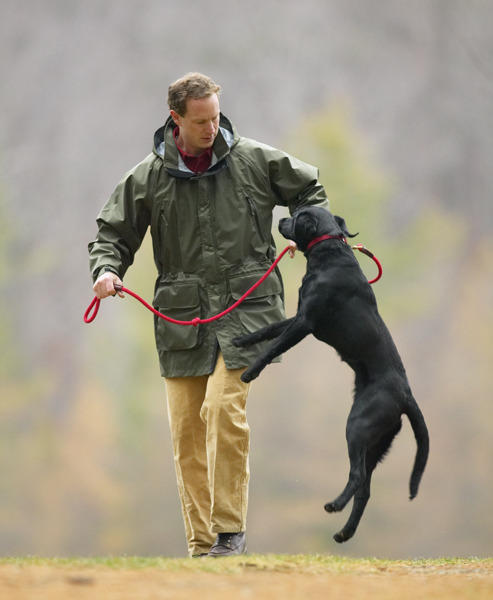 10Orvis_Rain