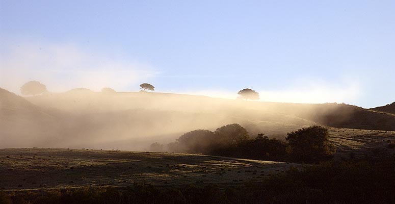 11__CA_03_DSC_6467