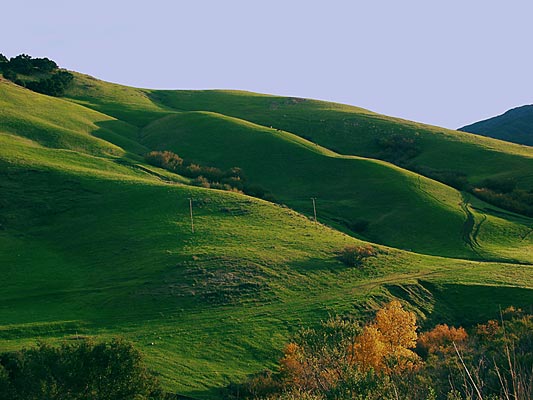 22Calif_59