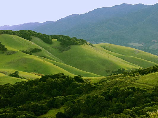 31Calif_71