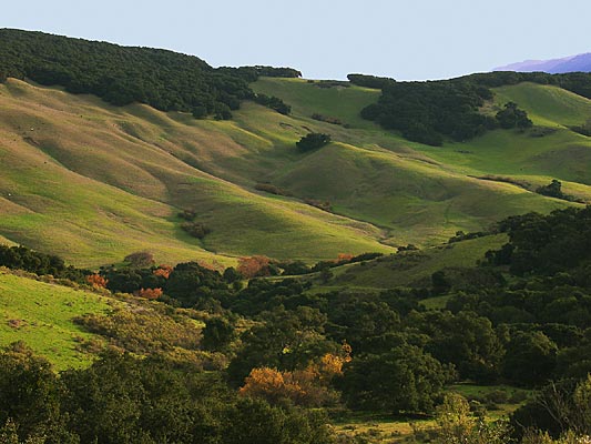33Calif_69