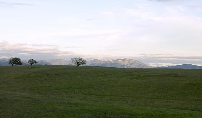 53_CA_03_DSC_6439