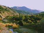 59_Calif_51